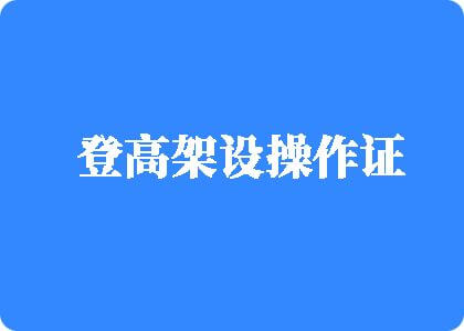 大黑屌干屄登高架设操作证