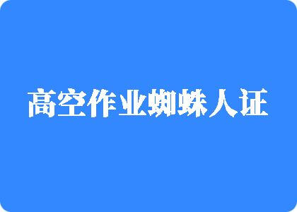 大黑吊操日本女人操逼高空作业蜘蛛人证